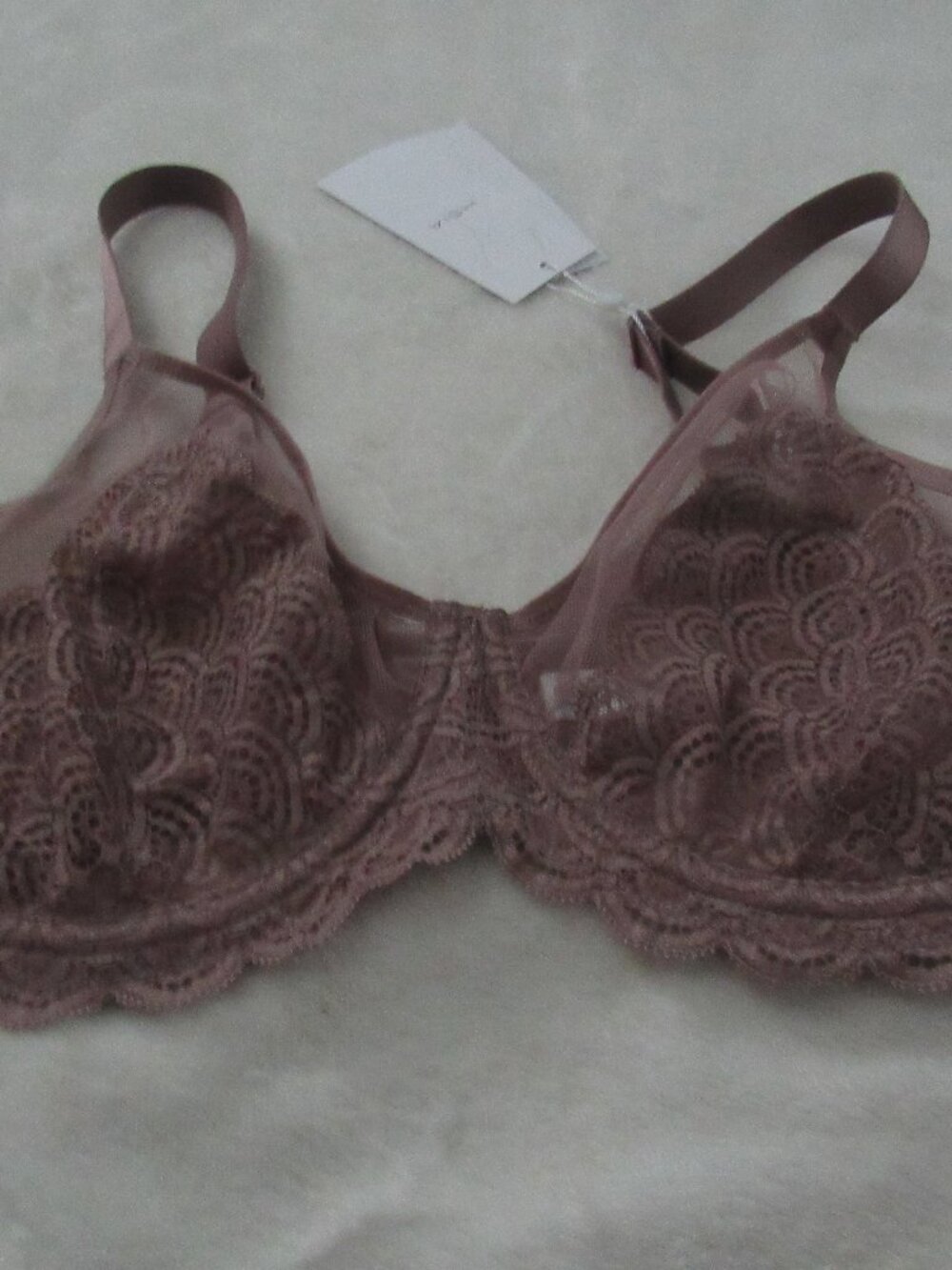 HSIA Dark Beige Lace Bra  NWT  36DD